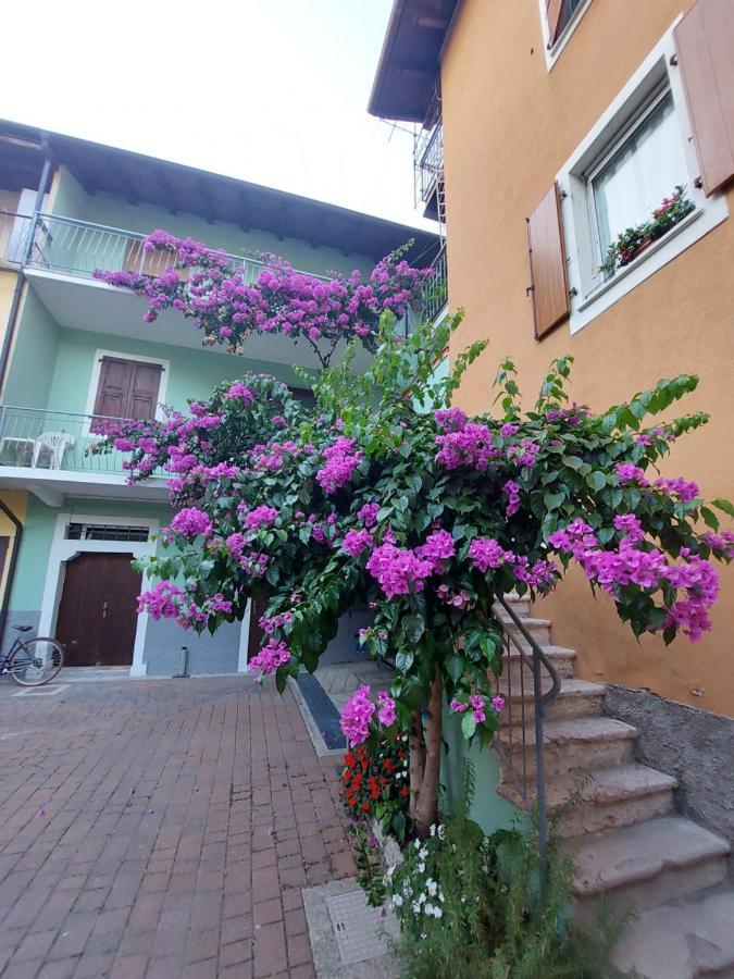 La Bougainville - Luxury Apartment Torbole Sul Garda Esterno foto